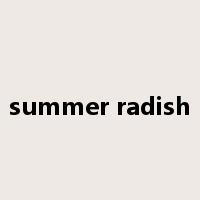 summer radish是什么意思