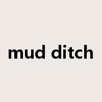 mud ditch是什么意思
