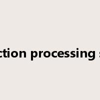 transaction processing system是什么意思
