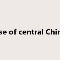 rise of central China是什么意思