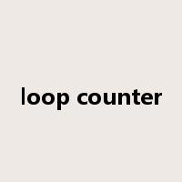 loop counter是什么意思