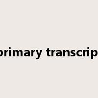 primary transcript是什么意思