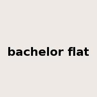 bachelor flat是什么意思