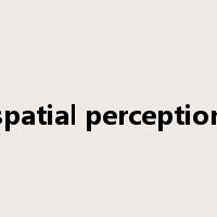 spatial perception是什么意思