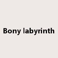 Bony labyrinth是什么意思