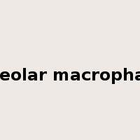 alveolar macrophage是什么意思