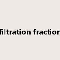 filtration fraction是什么意思