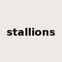stallions是什么意思