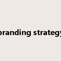 branding strategy是什么意思