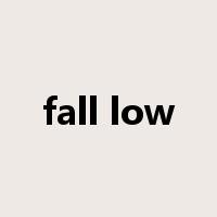 fall low是什么意思