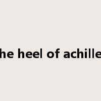 the heel of achilles是什么意思