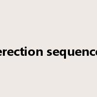 erection sequence是什么意思