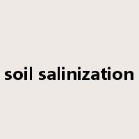soil salinization是什么意思