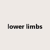 lower limbs是什么意思
