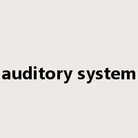 auditory system是什么意思
