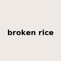 broken rice是什么意思