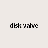 disk valve是什么意思