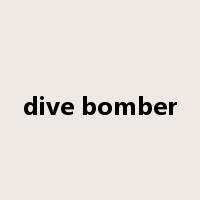 dive bomber是什么意思