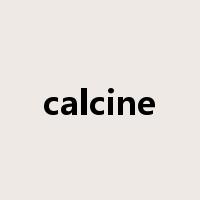 calcine是什么意思