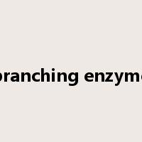 branching enzyme是什么意思