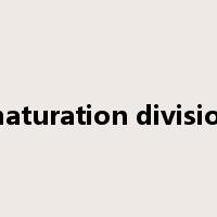 maturation division是什么意思