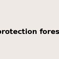 protection forest是什么意思