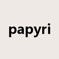 papyri是什么意思
