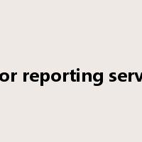 Error reporting service是什么意思