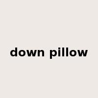 down pillow是什么意思