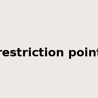 restriction point是什么意思