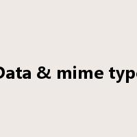Data & mime type是什么意思