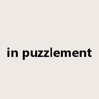 in puzzlement是什么意思