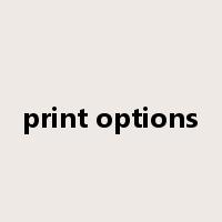print options是什么意思