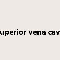superior vena cava是什么意思