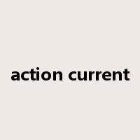 action current是什么意思