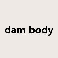 dam body是什么意思