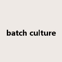 batch culture是什么意思