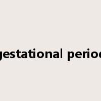 gestational period是什么意思