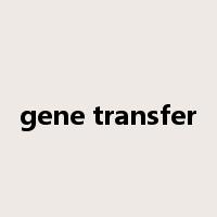 gene transfer是什么意思