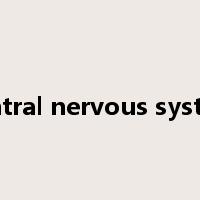 central nervous system是什么意思