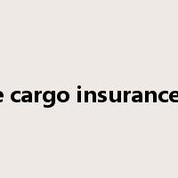 marine cargo insurance policy是什么意思