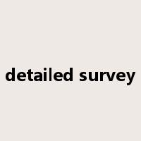 detailed survey是什么意思