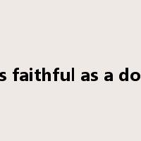 as faithful as a dog是什么意思