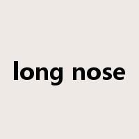 long nose是什么意思