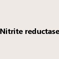 Nitrite reductase是什么意思