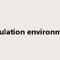 simulation environment是什么意思