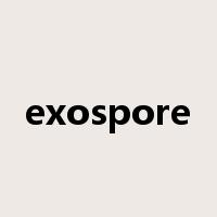exospore是什么意思