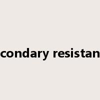 secondary resistance是什么意思