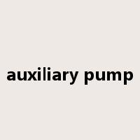 auxiliary pump是什么意思