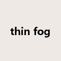 thin fog是什么意思